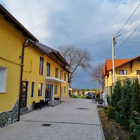 Izabella Guest House Săcele Eksteriør billede