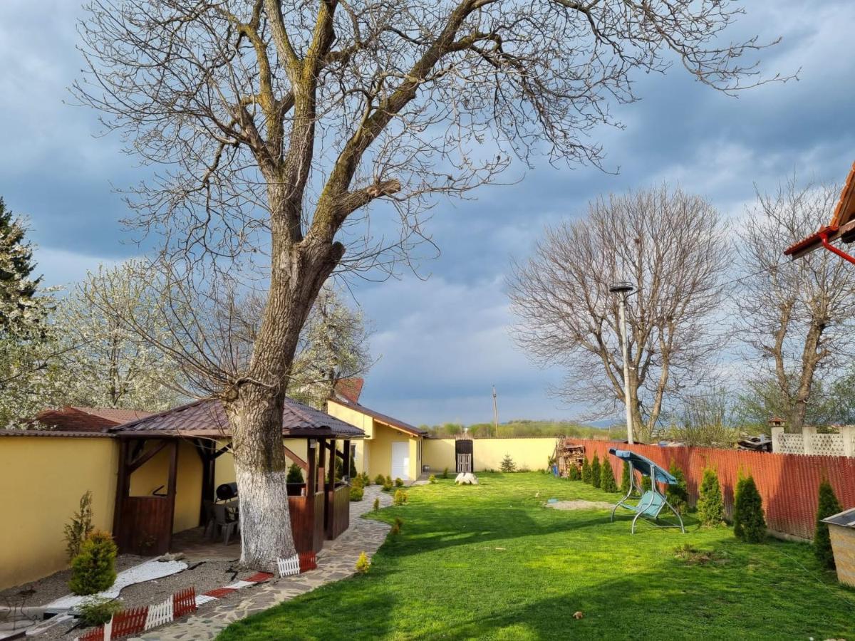 Izabella Guest House Săcele Eksteriør billede