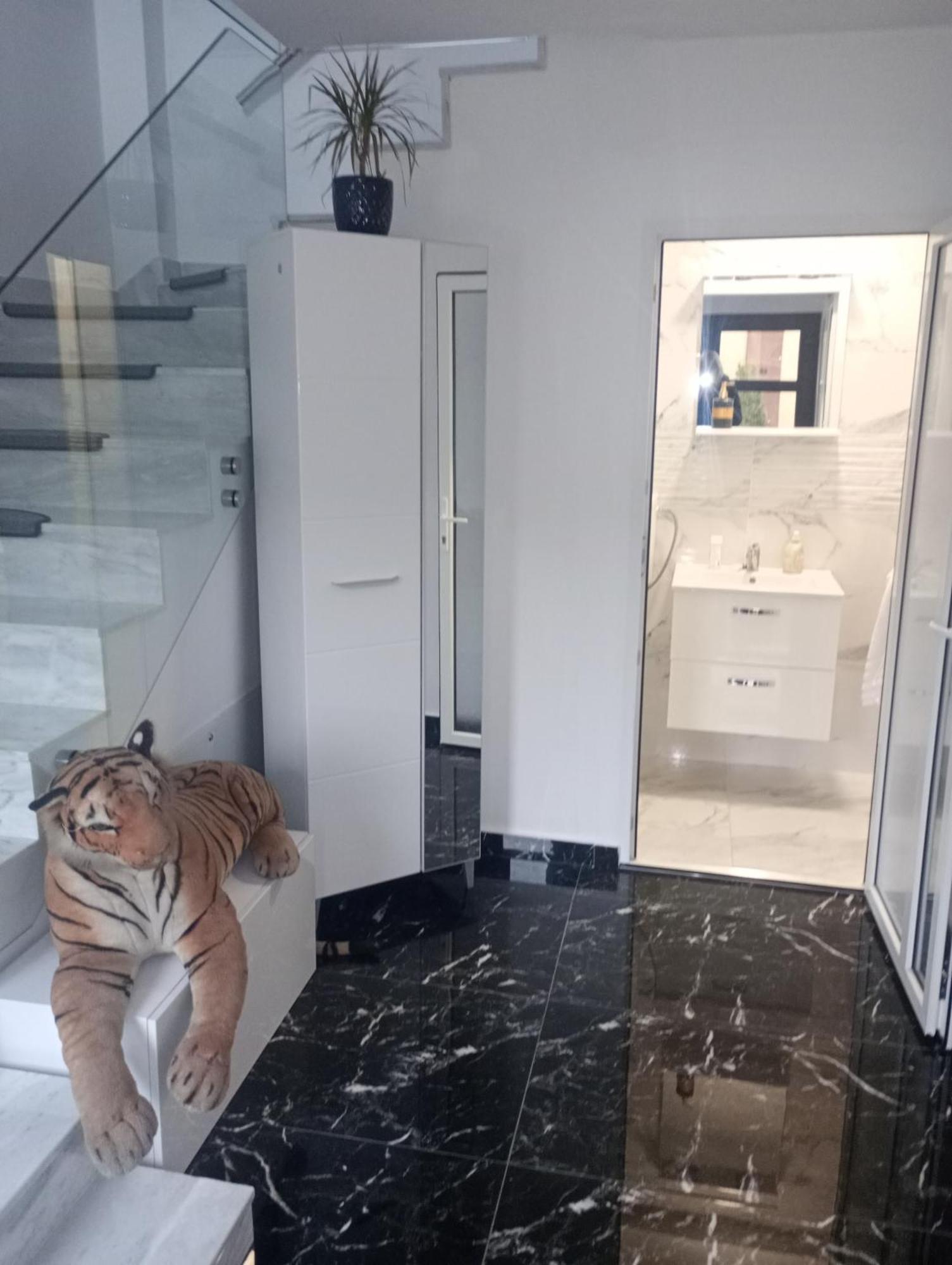 Izabella Guest House Săcele Eksteriør billede