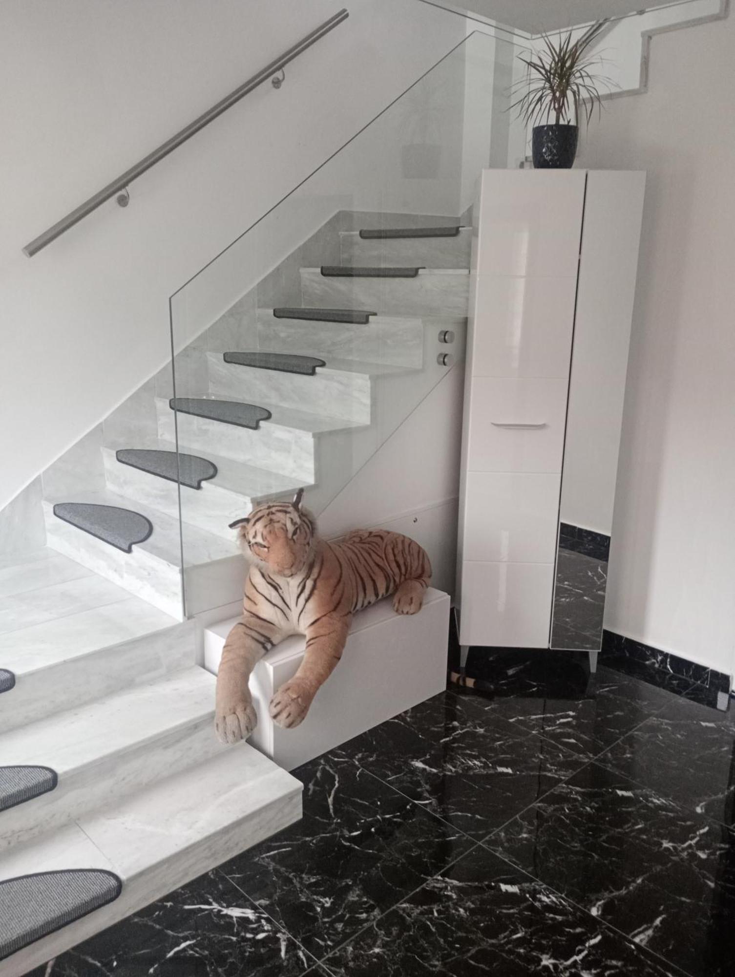 Izabella Guest House Săcele Eksteriør billede