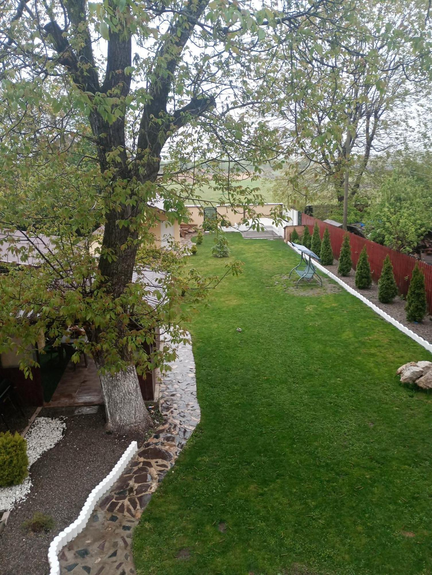 Izabella Guest House Săcele Eksteriør billede